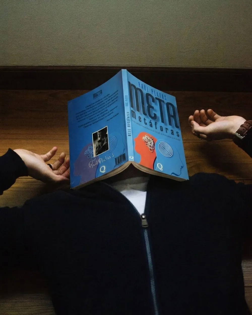 Tapa del libro Meta-Metáforas de Raúl Platas